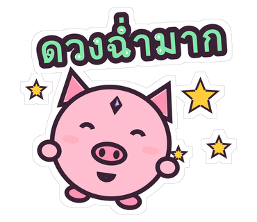 น้องหมูมูประจำวัน